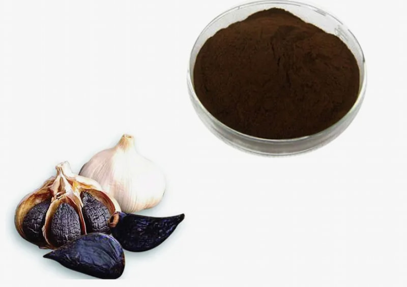 تصویر 3 از پودر سیر سیاه فرآوری شده از سیر مرغوب